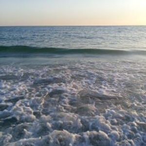 Meet your Posher, Consuela